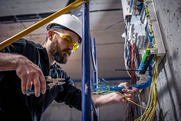 Best Electric Panel Repair  in Carrizozo, NM